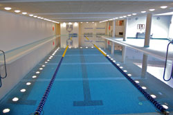Swans Swimming Pool