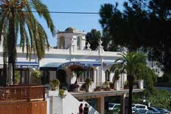 Sxekeley estate agents in Nueva Andalucia