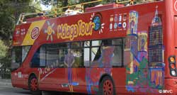 Malga Sightseeing Bus