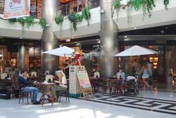 Terra Sana Restaurant in Marina Banus
