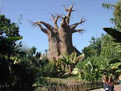 Fuengirola Zoo