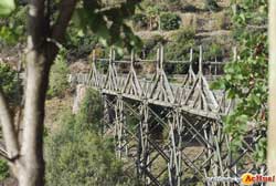 Selwo Adventure Park Estepona