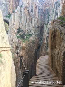 Camino Del Rey